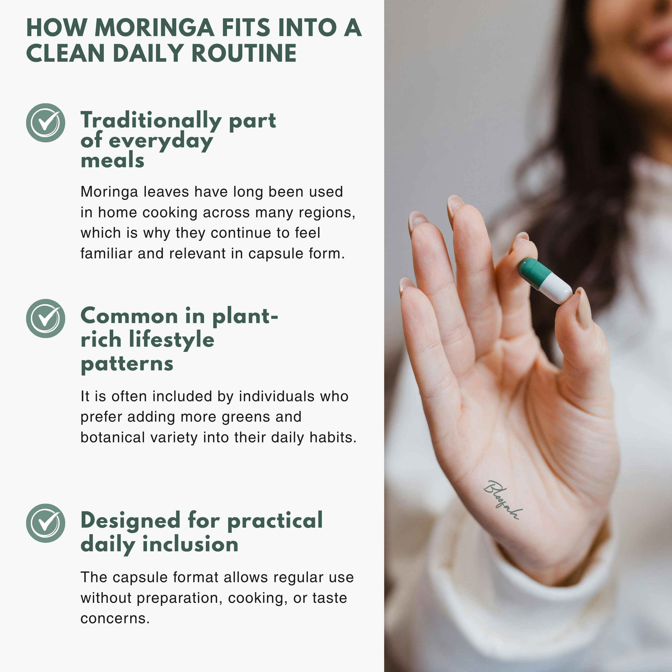 Bloofah MG Moringa Capsules 500mg | Moringa oleifera Leaf Extract | 120 Capsules