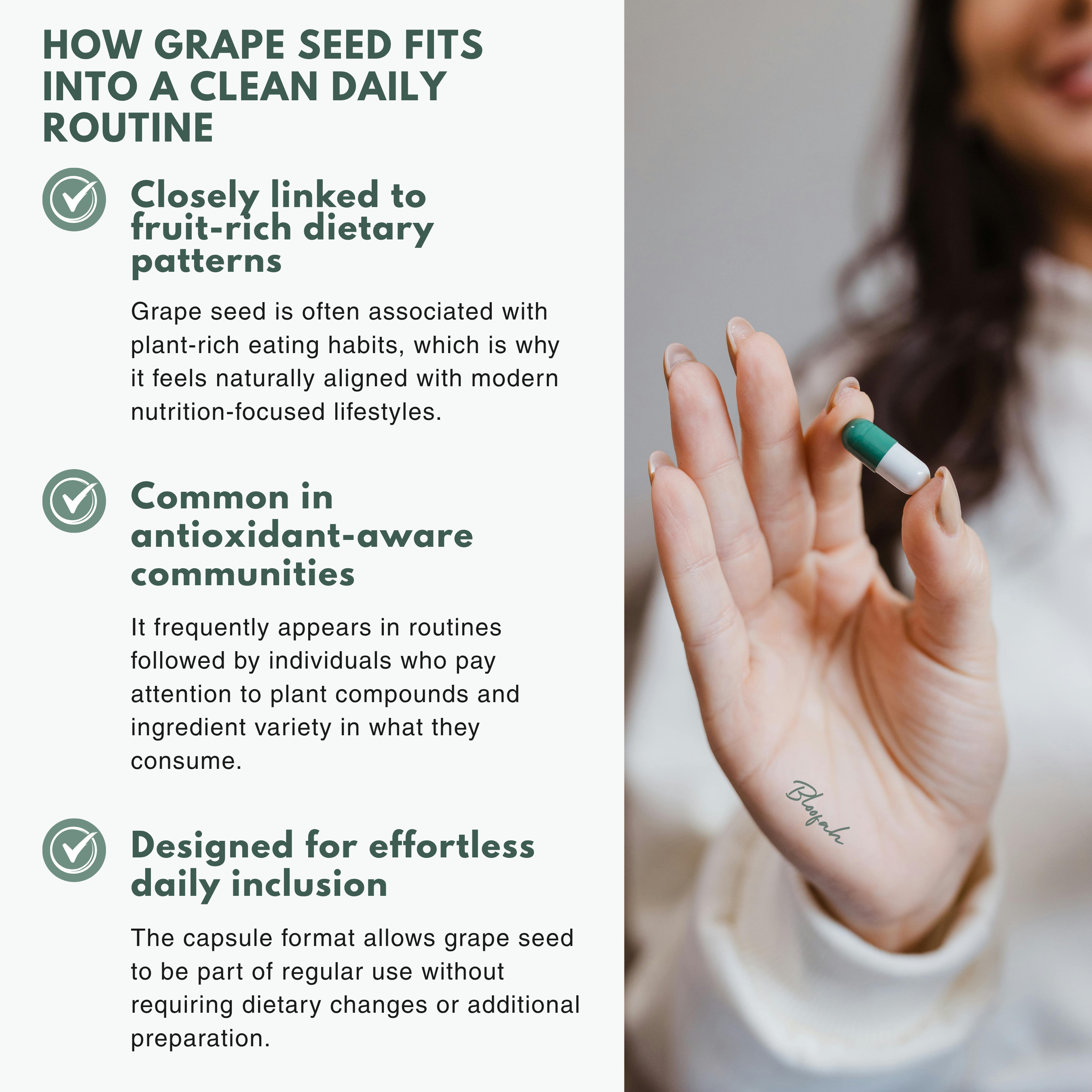 Bloofah GS Grape Seed Capsules 500mg | Vitis vinifera Extract | 120 Capsules