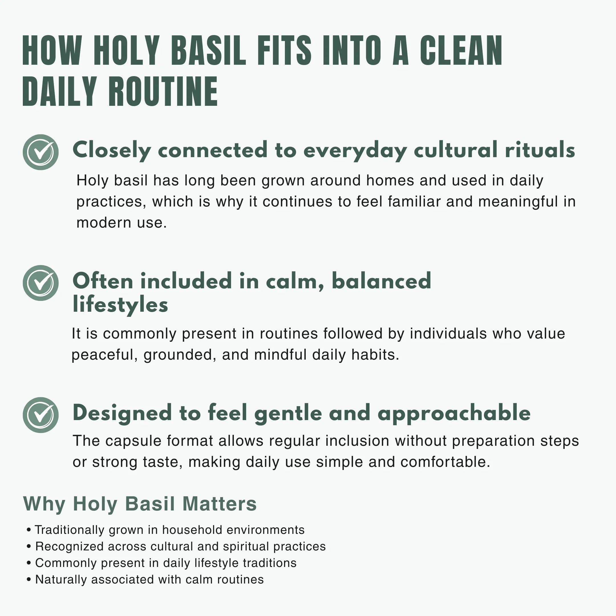 Bloofah HB – Holy Basil Capsules 500mg | Stress & Immunity Support (120 Capsules)