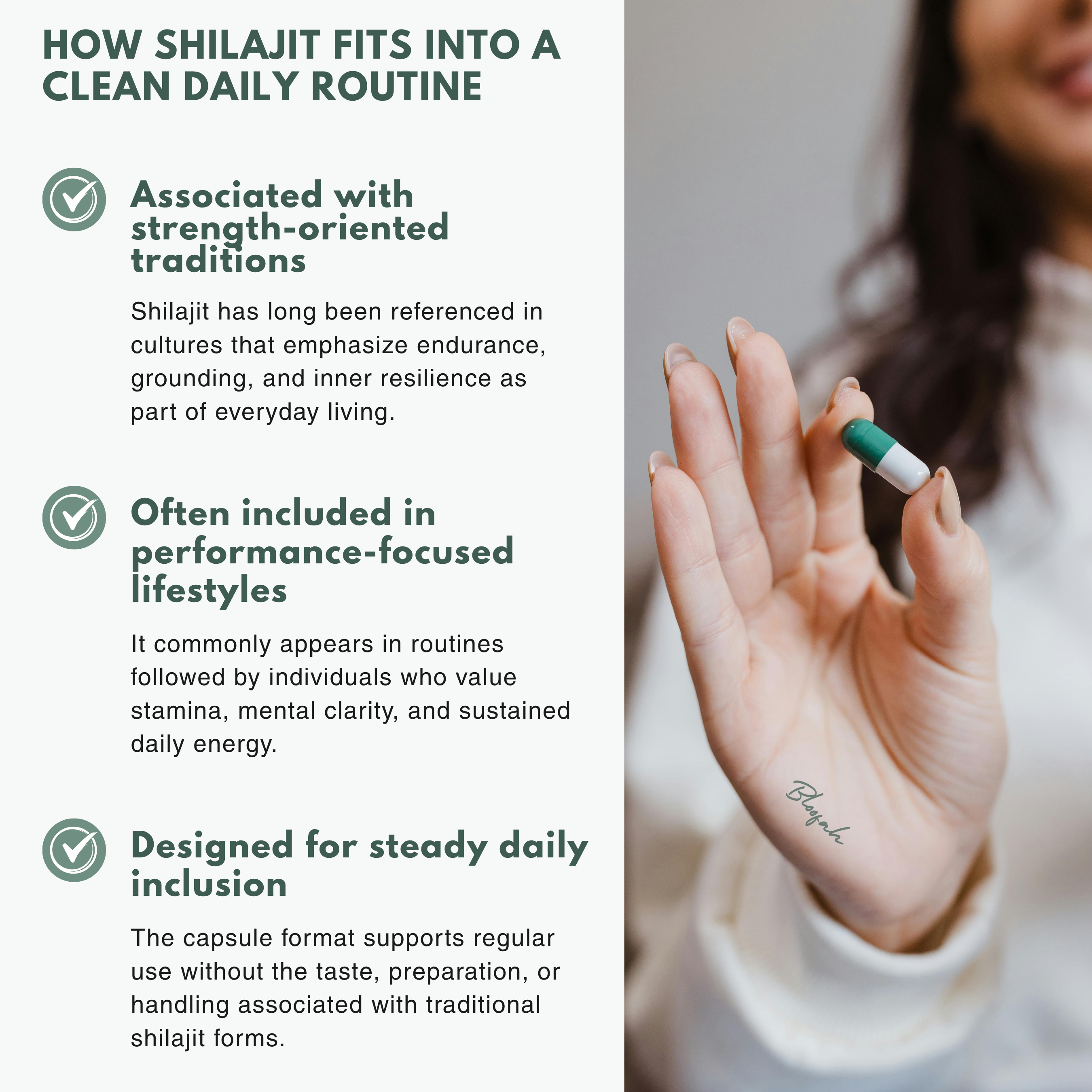 Bloofah SJ Shilajit Capsules 500mg | Himalayan Mineral Resin Extract | 120 Capsules
