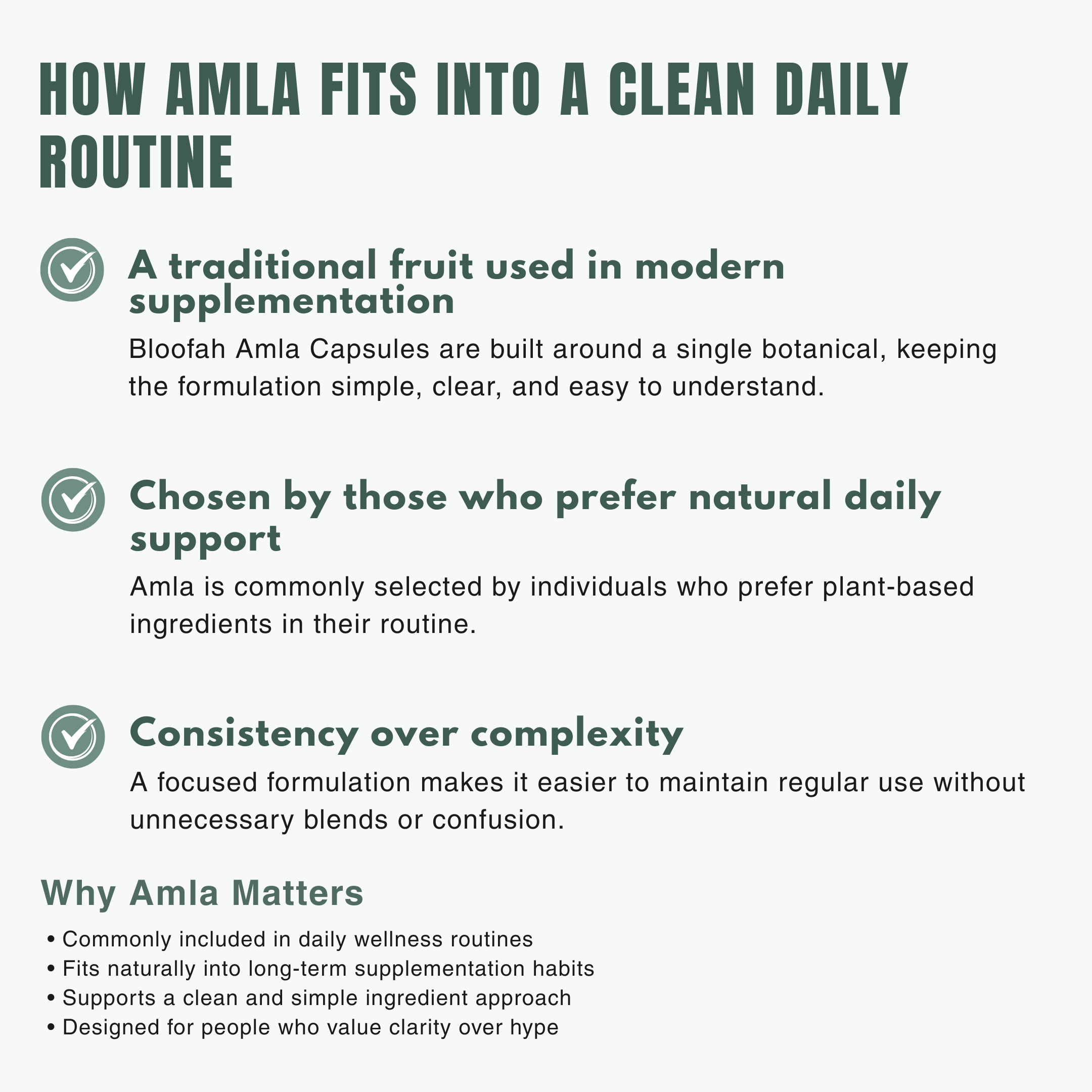 Bloofah AF – Amla Capsules 500mg (Indian Gooseberry) | 120 Capsules