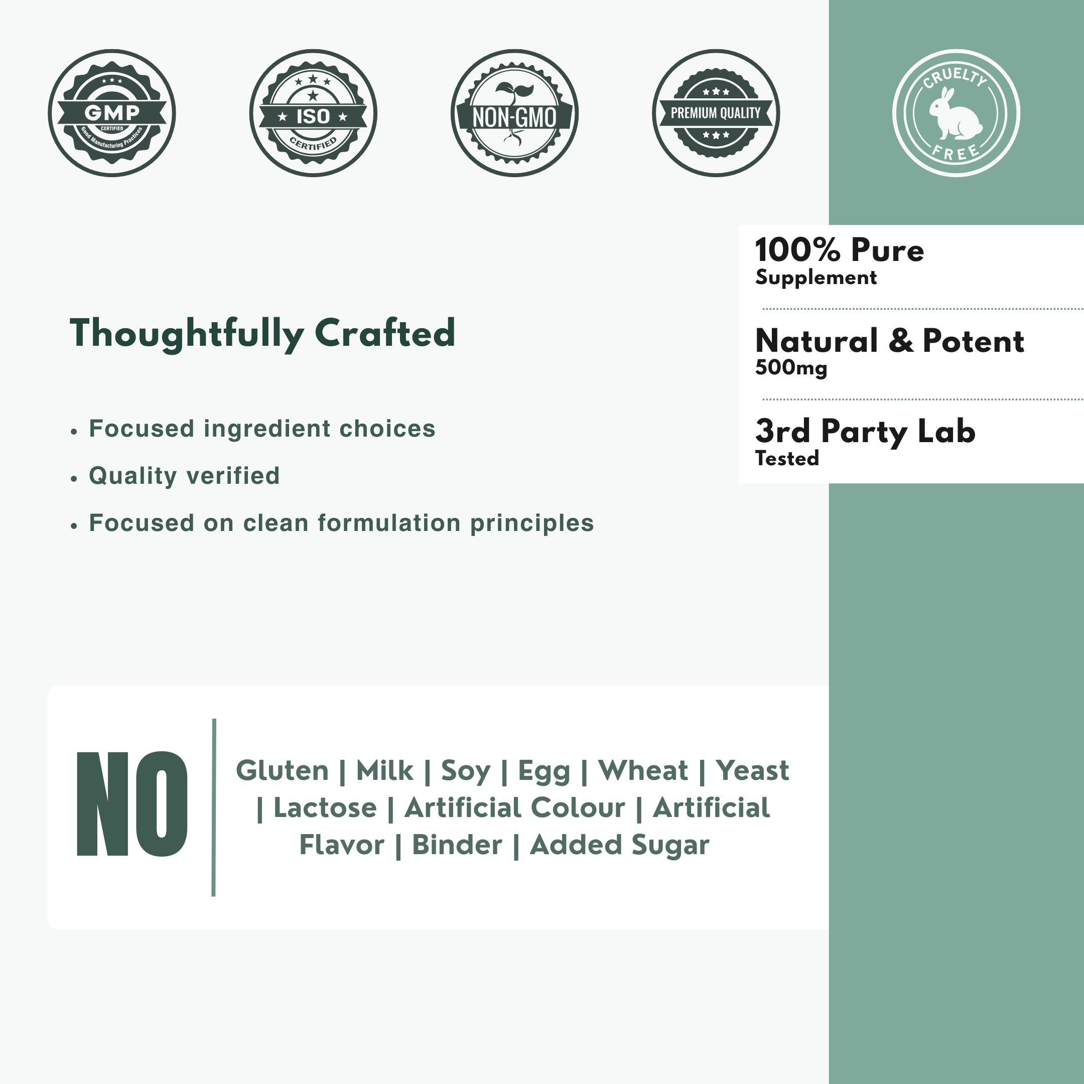 Bloofah LYP – Lycopene Capsules 500mg | Antioxidant Support from Tomato Fruit (120 Capsules)