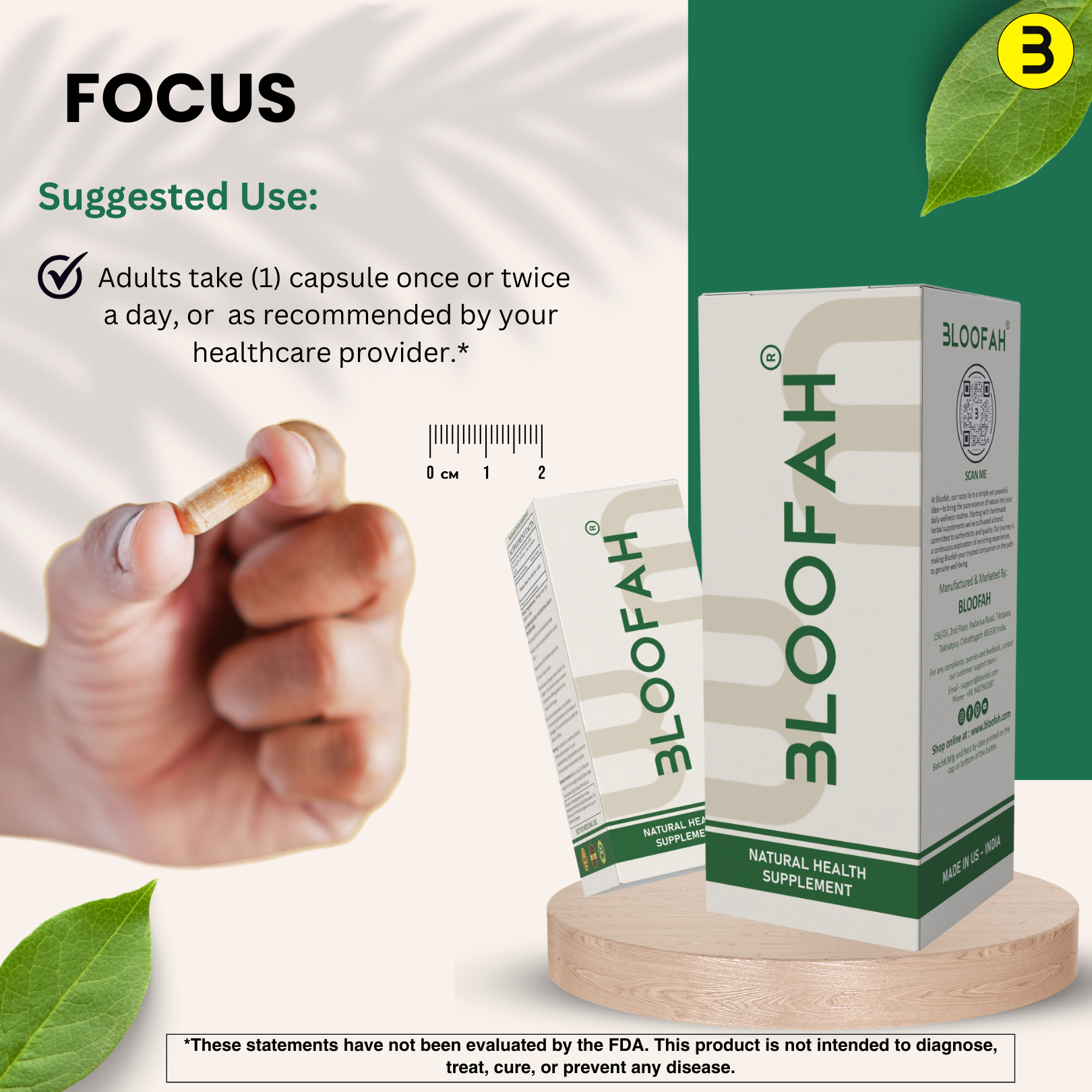 Bloofah Saw Palmetto Extract Capsules 500mg - Natural Prostate Health Support Supplement | Non-GMO and Gluten Free Formula Extra Strength Saw Palmetto Berry Powder (Serenoa repens)
