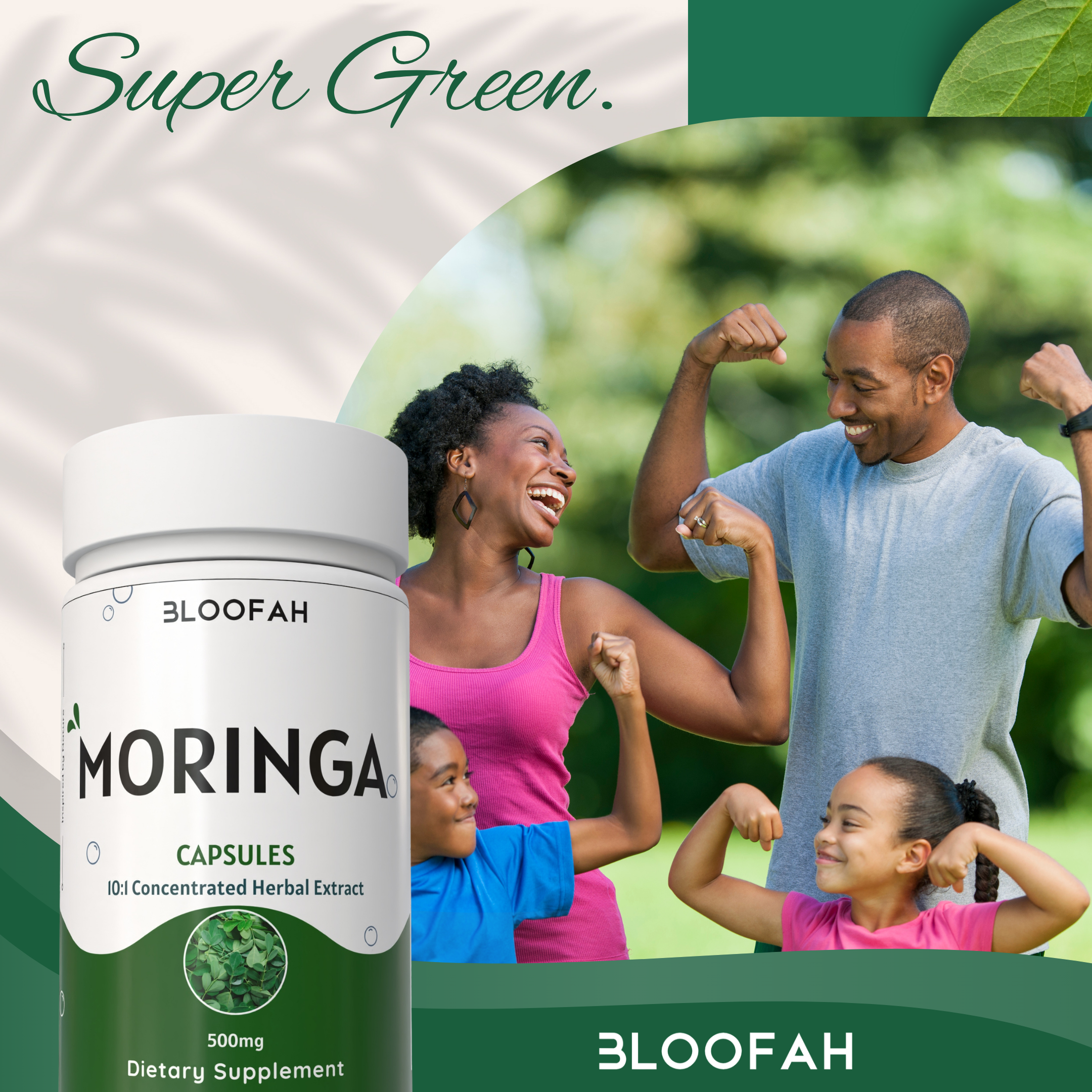 Bloofah Moringa Capsules 500mg | Natural Superfood Supplement for Vitality | 100% Pure Moringa Oleifera Leaf Extract 10:1 Powder | Nutrient-Rich Vegetarian Green Superfood