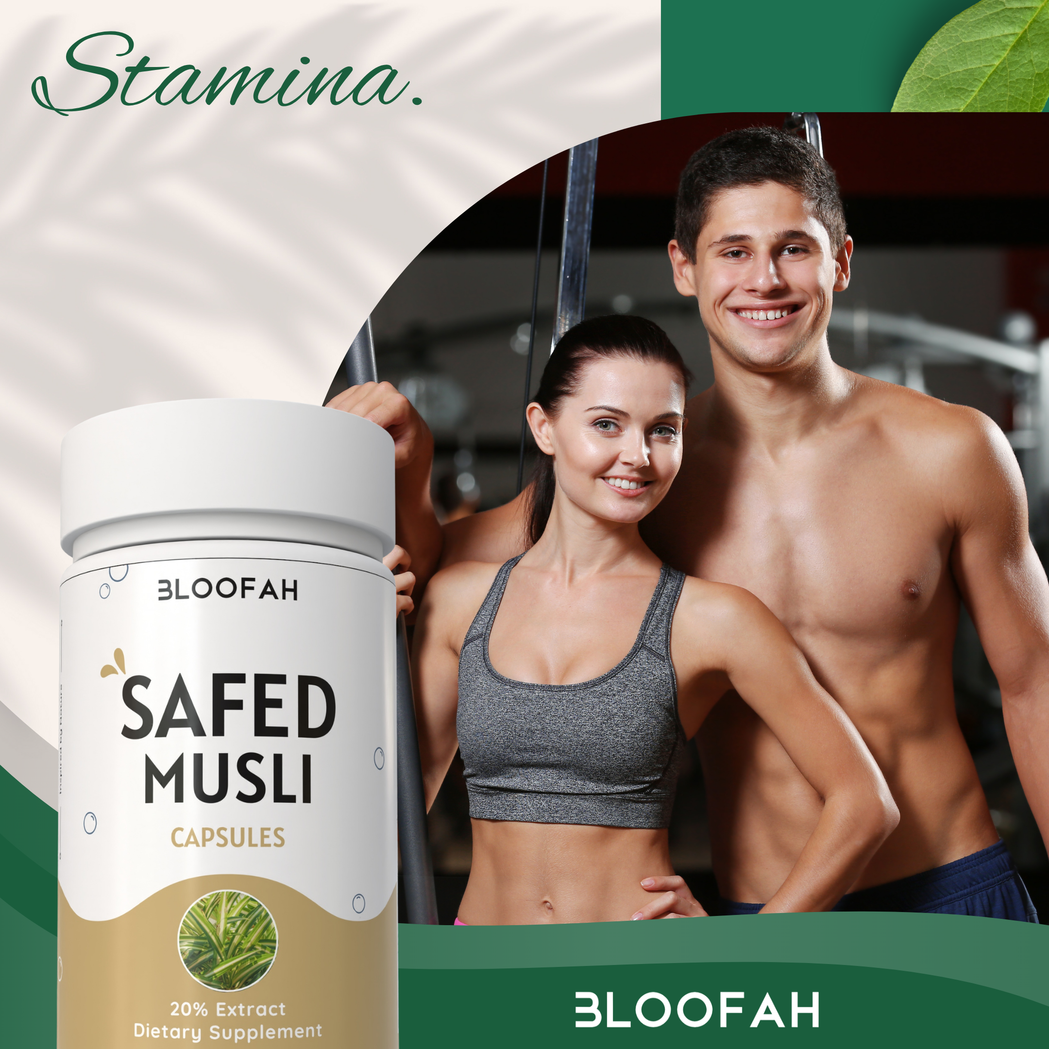Bloofah Safed Musli Capsules 500mg | Non-GMO, Gluten Free, Natural Herbal Supplements | 100% Pure, Organic Safed Musli Extract 20% (Chlorophytum borivilianum) Powder Extra Strength