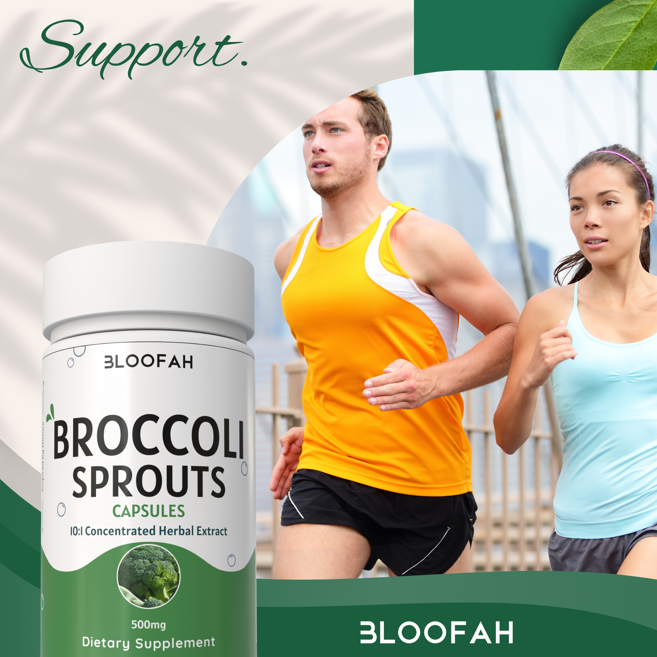 Bloofah Broccoli Sprout Extract Supplement 500mg | Broccoli Sprout (Brassica oleracea VAR. Italica) Extract 10:1 Powder | 100% Pure, Natural, Gluten-Free Formula Herbal Supplements