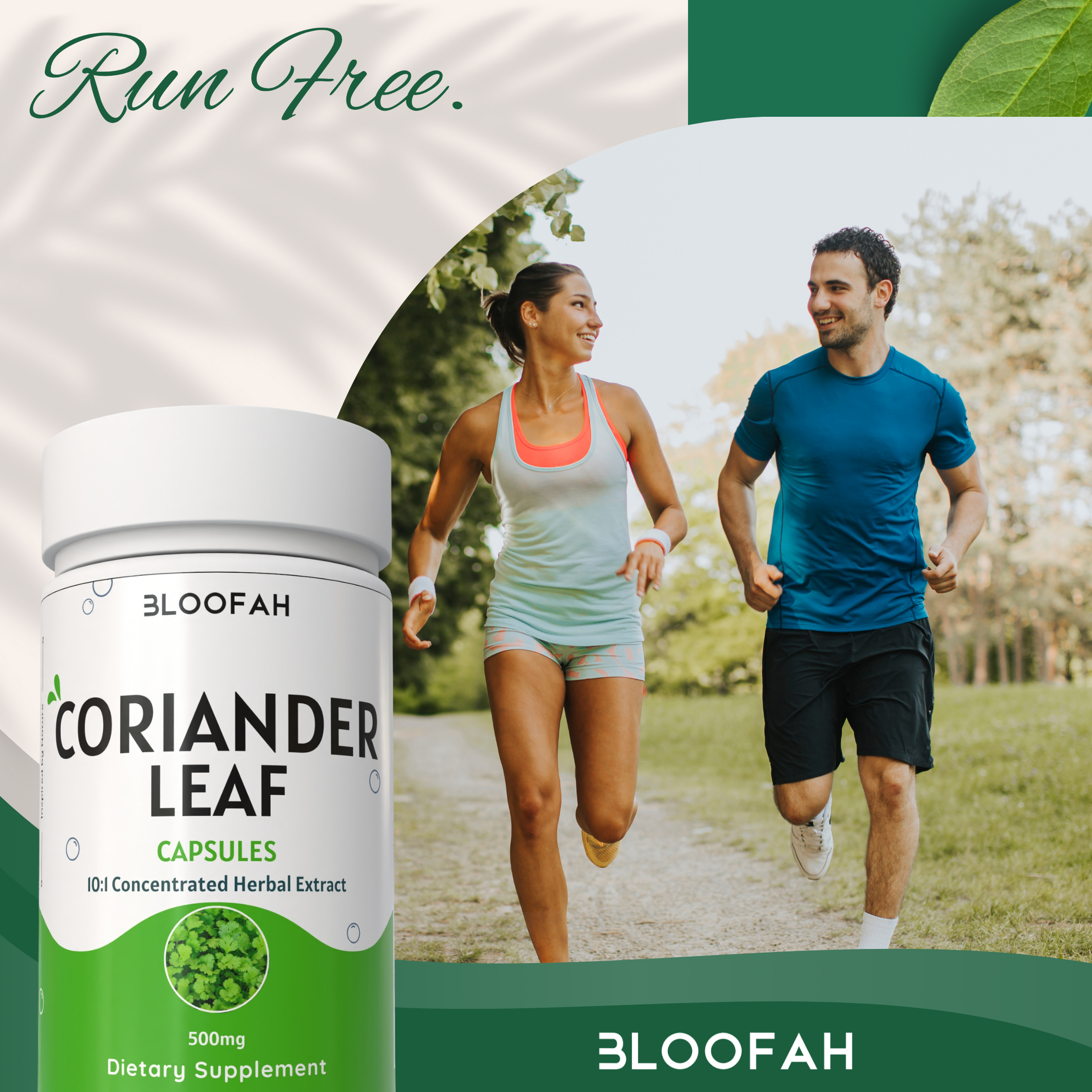 Bloofah Coriander Leaf Extract Capsules 500mg | Pure Coriander (Coriandrum sativum) Leaf Powder Extra Stength Eq. to 5000mg Per Serving | Rich Vitamin A & C | Natural Body Cleansing & Detox