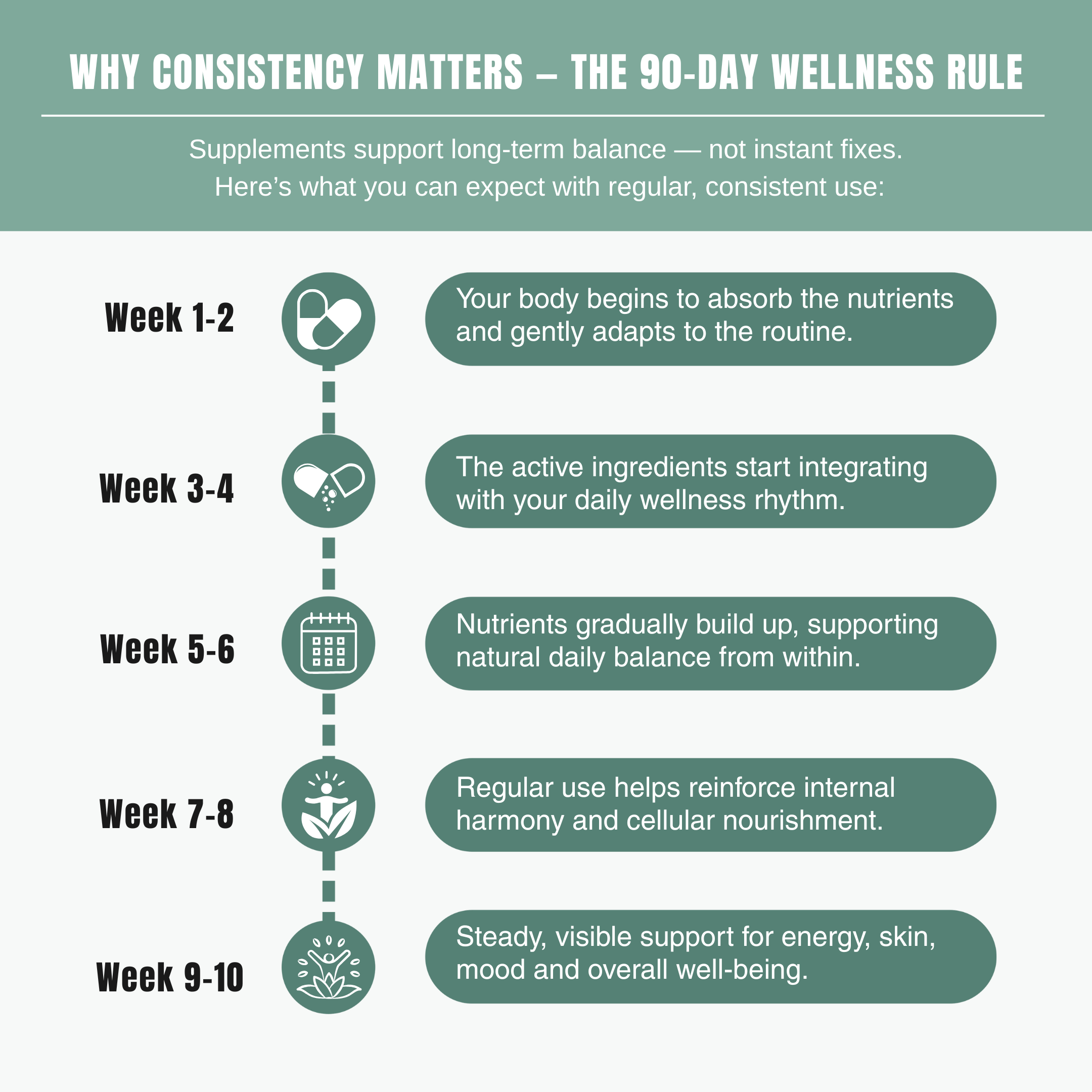 Bloofah MG – Moringa Capsules 500mg | Nutrition & Daily Vitality Support (120 Capsules)