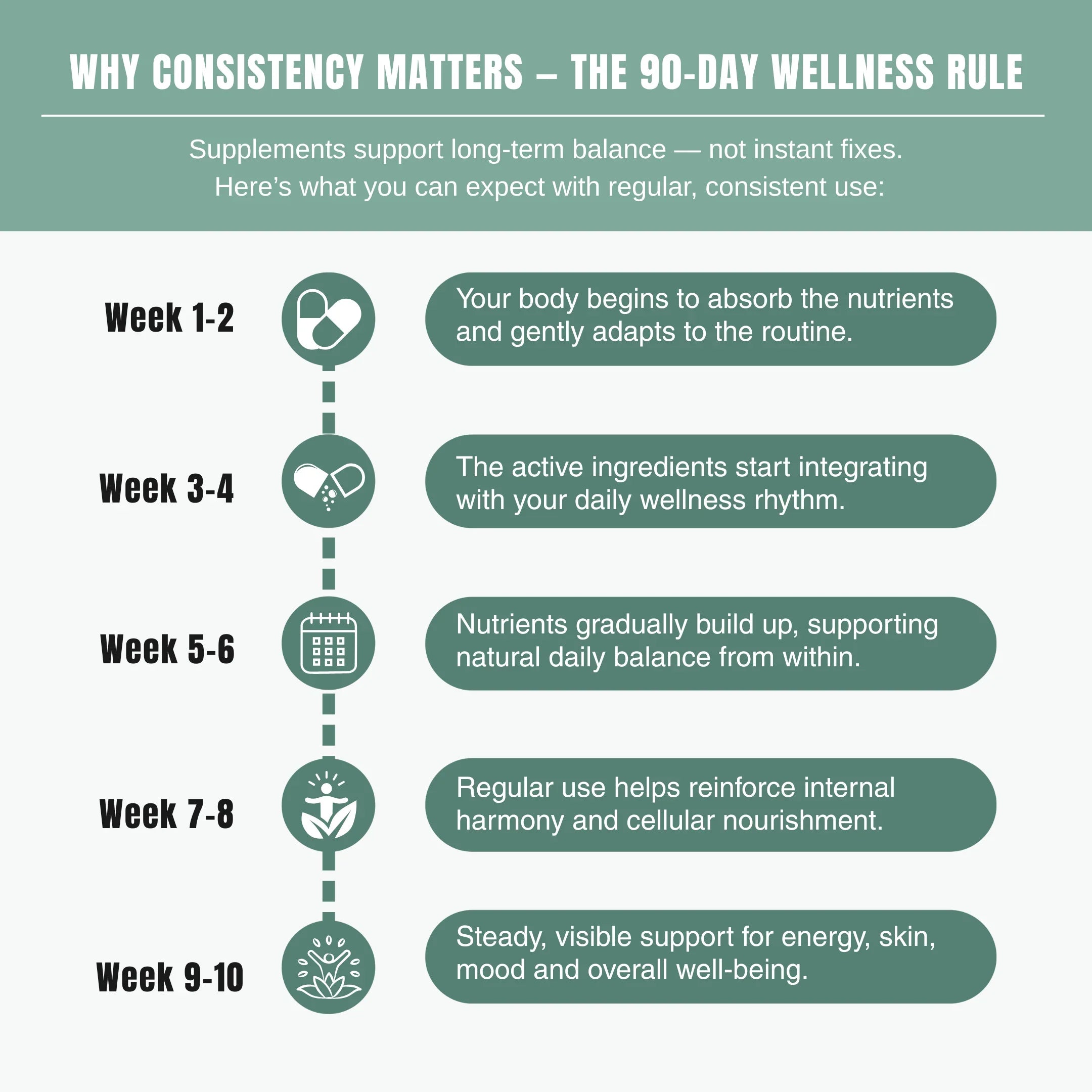 Bloofah HB – Holy Basil Capsules 500mg | Stress & Immunity Support (120 Capsules)